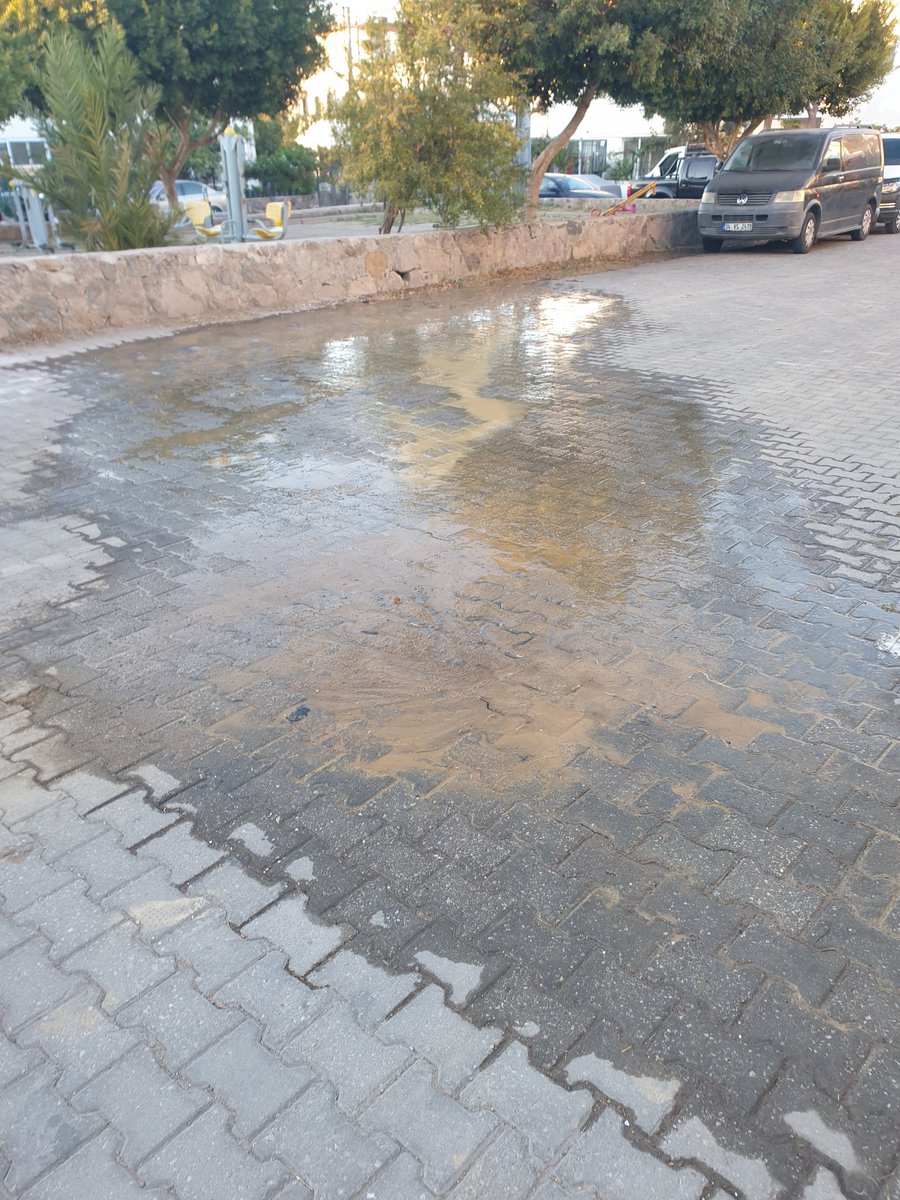 krmgrsy's tweet photo. @MandalinciTamer @BodrumBel @muskibasin akcaalan mahallesi 43. Sokakta öğlen 12 de fark ettim ve muskiye bilgi verdim su kacagi var diye bu saat oldu haala gelen yok bosa su akiyor yazik gunah sonra bodruma su yetmiyor diyolarlar. https://t.co/dEXjaGfWes