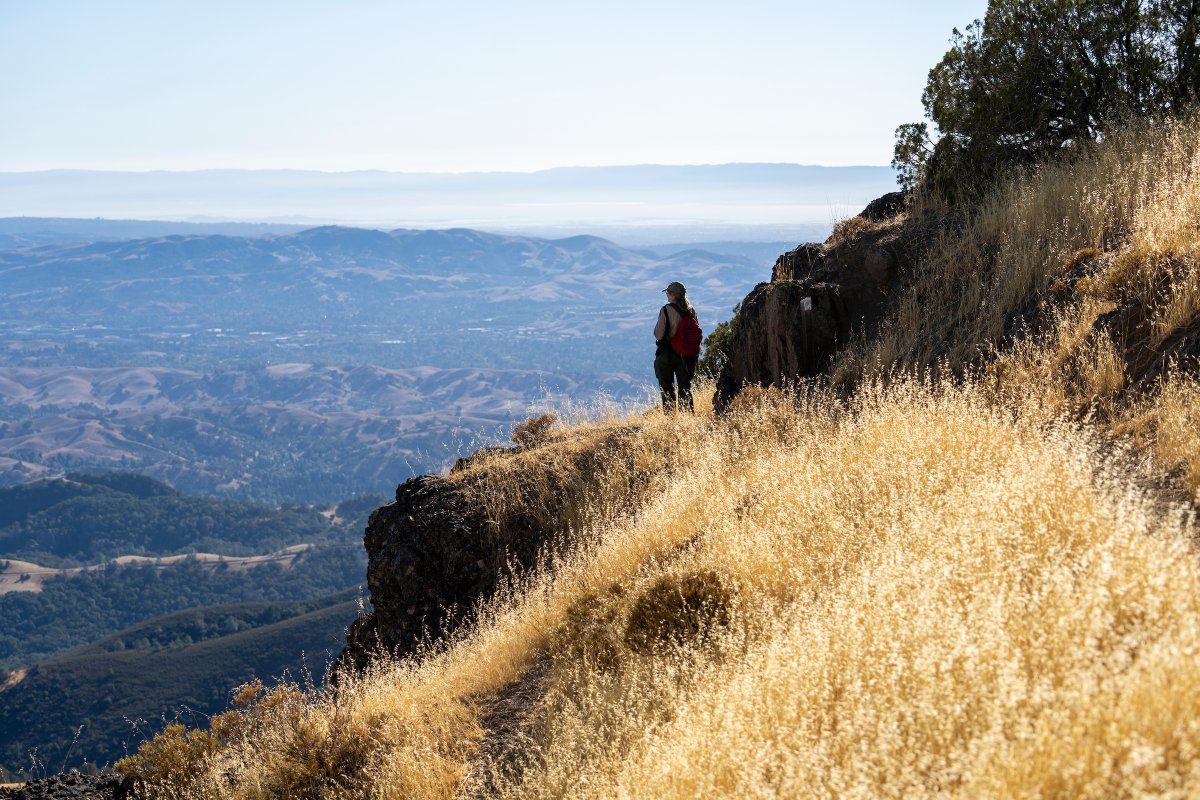 CA State Parks tweet media