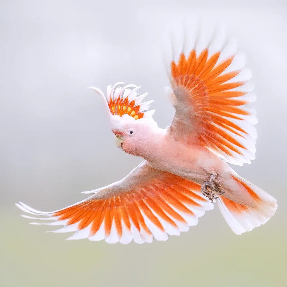 Ga0yKpmasAAUX6-?format=jpg&name=medium