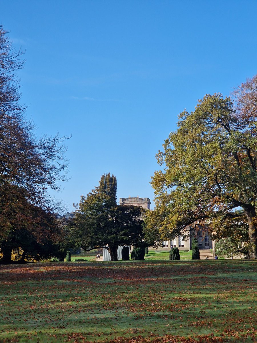 Escaped from Oxford to the Peak District for the weekend. Look at how utterly idyllic Lyme Park was today