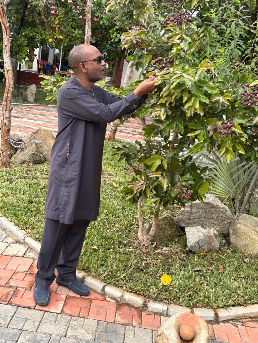 Alpha Barry tweet media