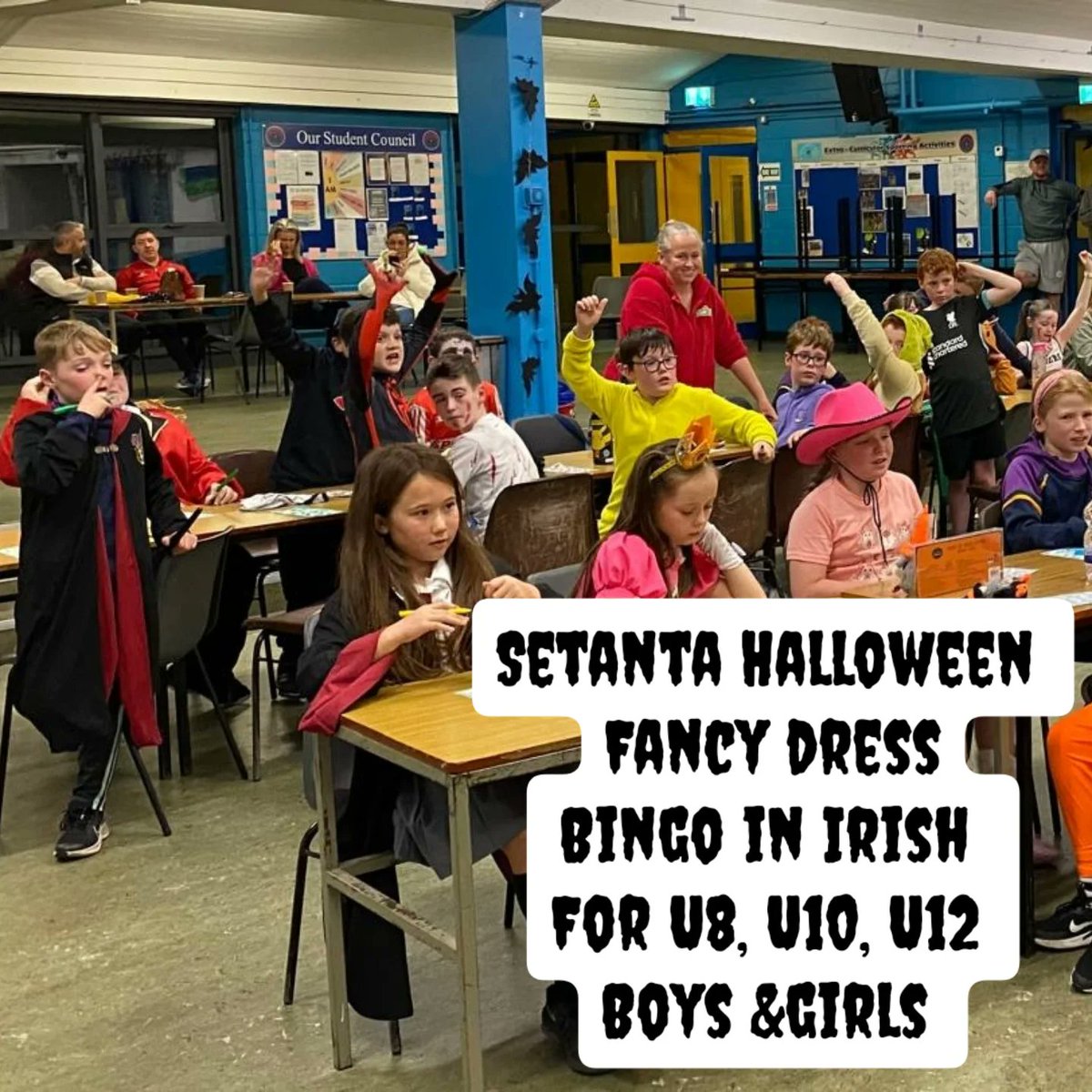 Setanta Ceatharlach Hurling/Camogie, Carlow Town tweet media