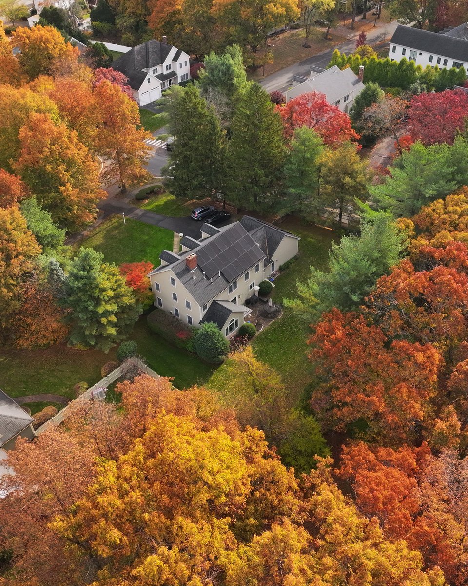 The leaves are changing, and so is the energy we use! Show off your home’s solar panels amidst the stunning fall colors by sharing a picture with hashtag #EnergySage 🍁🍂 (Drone shots optional!)