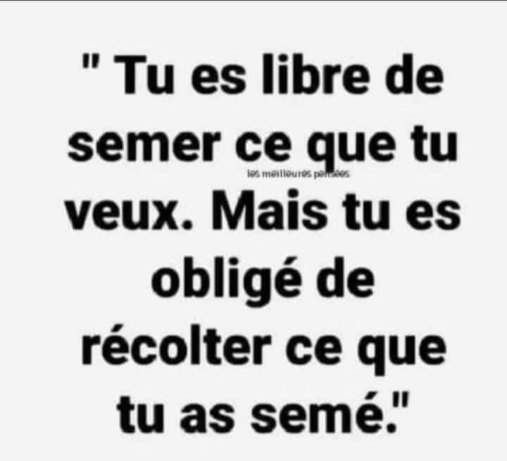 À côté de la statue de #liberté 🗽 , il eut fallu qu’on érige également la statue de la #responsabilité !

Une liberté non assumée, constitue un dangereux libertinage.