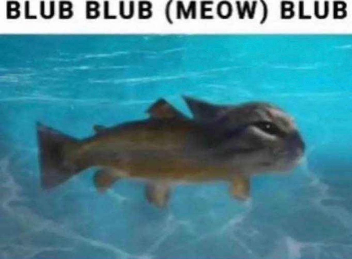 🕐HOURLY🕑 shitpost (@hourly_shitpost) on Twitter photo 