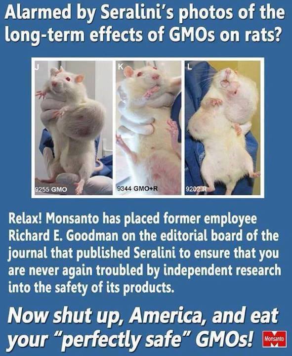 JerryXhandle's tweet photo. @woye1 The scientists found that the rats consuming genetically altered potatoes showed significant detrimental effects on organ development, body metabolism, and immune function. #BanGMOImmediately https://t.co/GPCs53pdw8