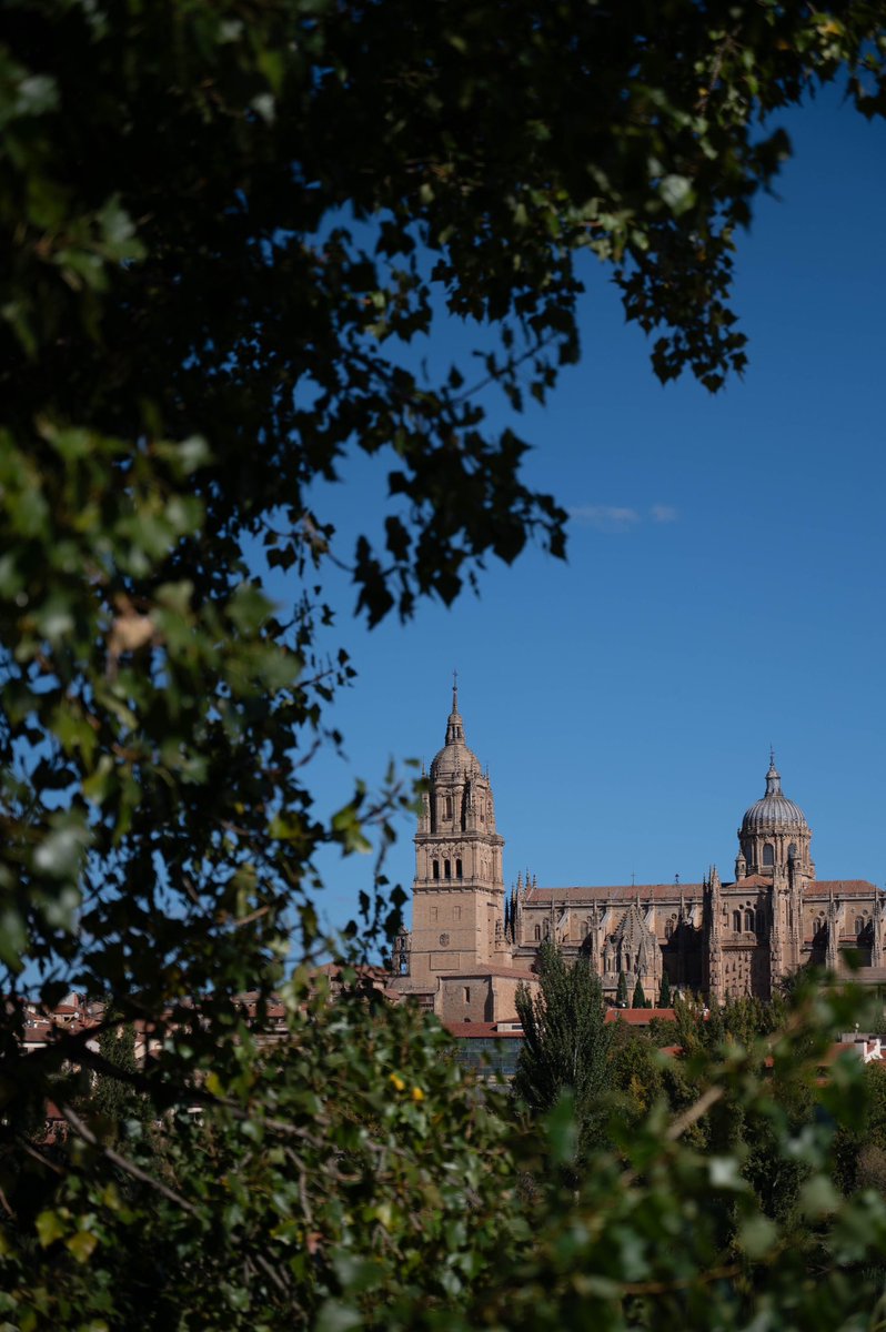 teterfraile's tweet photo. Catedral de Salamanca 📸
#salamanca #españa #arquitectura #monumento #turismo #patrimonio #patrimoniocultural 
#fotografia #photo #photography #patrimoniohistorico #patrimoniodelahumanidad
#nikonz6ii https://t.co/VD2wjATRgz