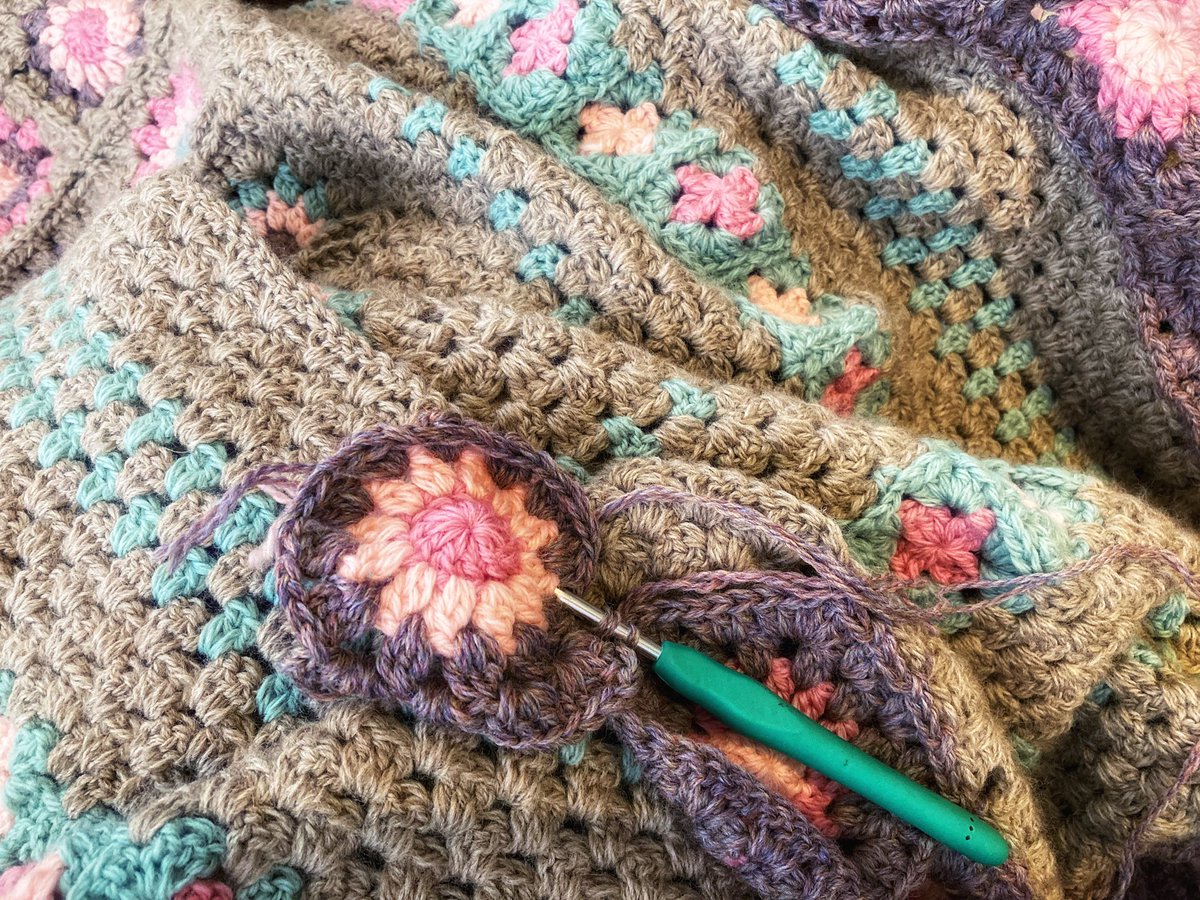 Alexandra Gilligan-Cook tweet media