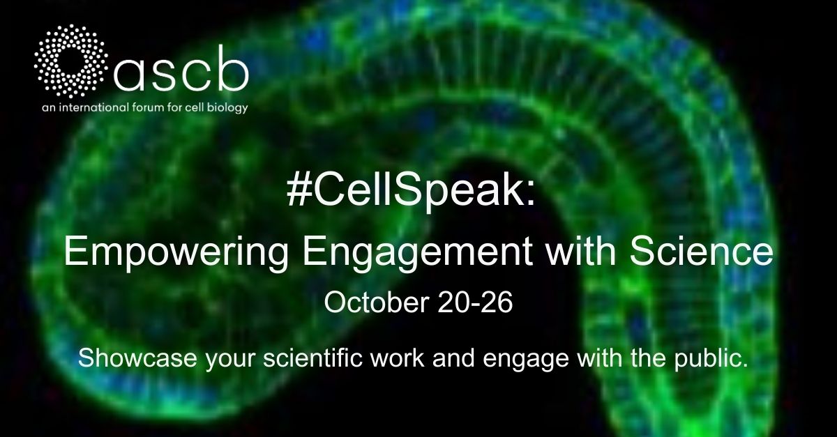 ASCBiology's tweet photo. What do you think is the next big question in cell biology? We'd love to hear your perspective!
https://t.co/KM3itF9dp4 #CellSpeak #SciComm #publicengagement #cellbiology #citizenscience https://t.co/97Mwwmi3bN