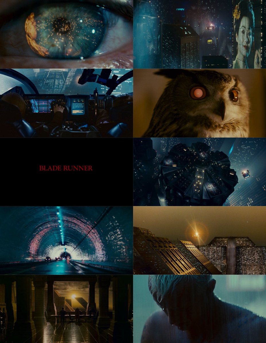Blade Runner (1982) dir. Ridley Scott