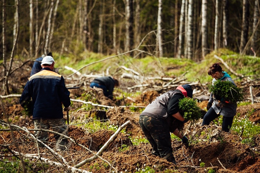 TAPPITWEETS's tweet photo. There is a misconception that the use of wood, paper, or paper-based products leads to deforestation when, in fact, it helps continue to maintain and grow available forest land. Learn more.

https://t.co/y92Jbwdu33

#paperfacts #paper #forestry #forestmanagement https://t.co/sHrTb7lXNZ