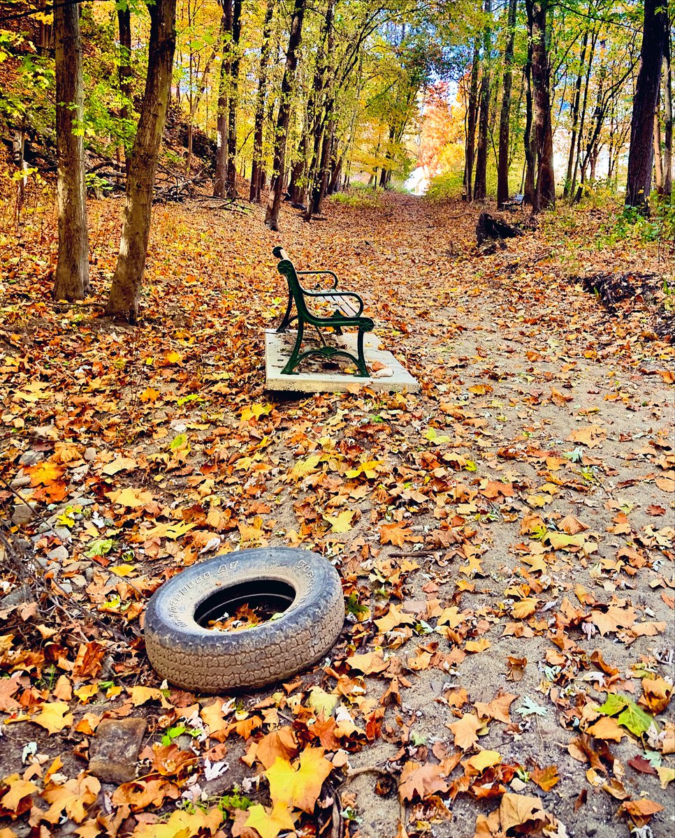 The Hoarse Whisperer tweet media