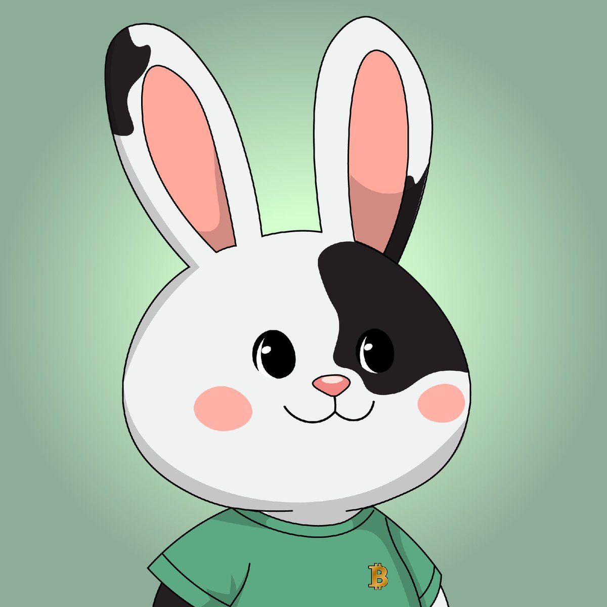 GloomyDev1's tweet photo. 3.5 hours to launch! Get your Sol ready to buy Susie! https://t.co/5goFuls3Xo