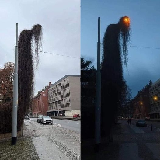 InformaCosmos's tweet photo. Esta lámpara en Polonia es lo máximo. https://t.co/KZ42aEeK0L