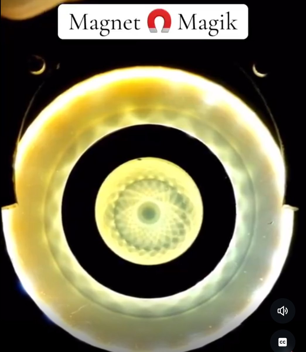 <a href="/j00ny369T/">Johnny</a> it's a vibe

x.com/AmurakaHidden/…