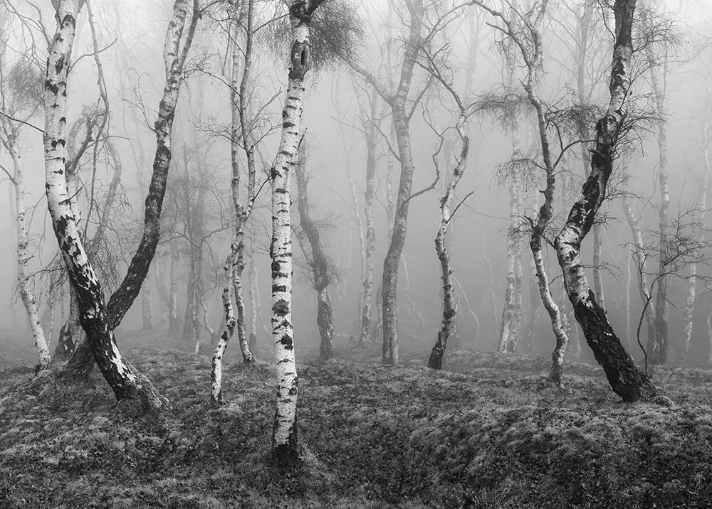 kozubooks's tweet image. &apos;Forgotten Souls&apos; By @mattoliver73 will be available to Preorder this Sunday the 27th October at 7pm (GMT). Foreword kindly written by Paul Sanders 👌 Really looking forward to this! #photobook