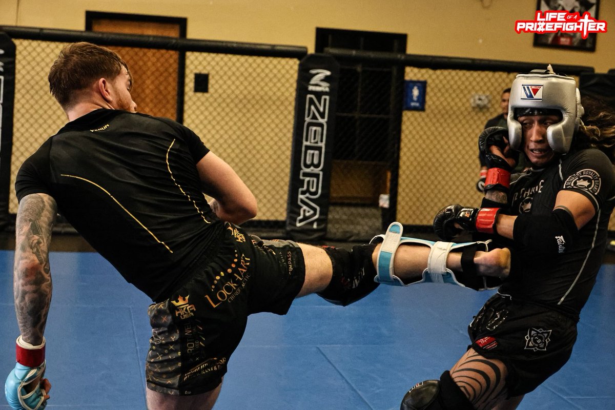 MMA_CodeBreaker's tweet photo. “We Cooking” 🥷🙌🙏
.
.
.
Sponsors:
#HKA
#HickoryHouse
#MFgilleytattoo
#SandersHomeImprovements
#Dynacoil
#AxiomMarketing
#LockhartChiropractic
#AlexResendizRealtor
#TMH
#LifeOfAPrizeFighter
#DoctorsOfPhysicalTherapy https://t.co/tHSANRHDDh