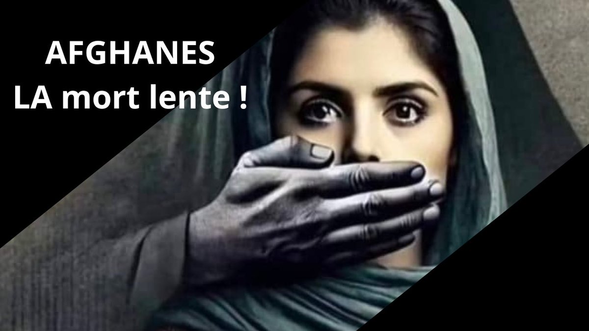 NEGAR, soutien aux femmes d'Afghanistan tweet media