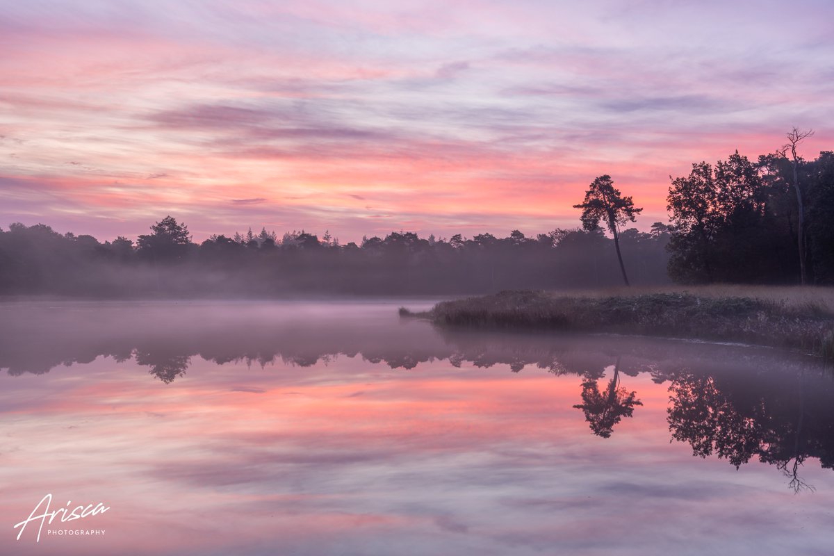 Arisca van ‘t Hof tweet media