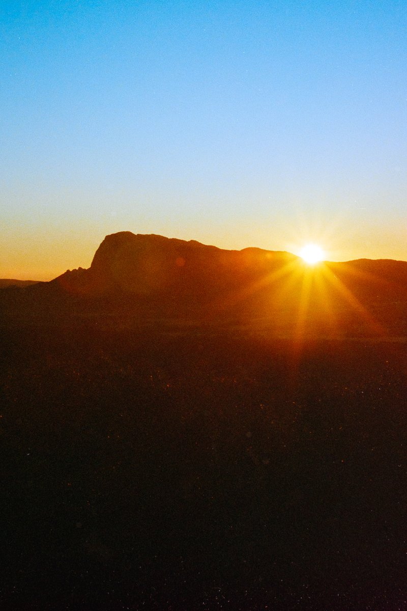 26. Hier

#31themesAnalogChallenge