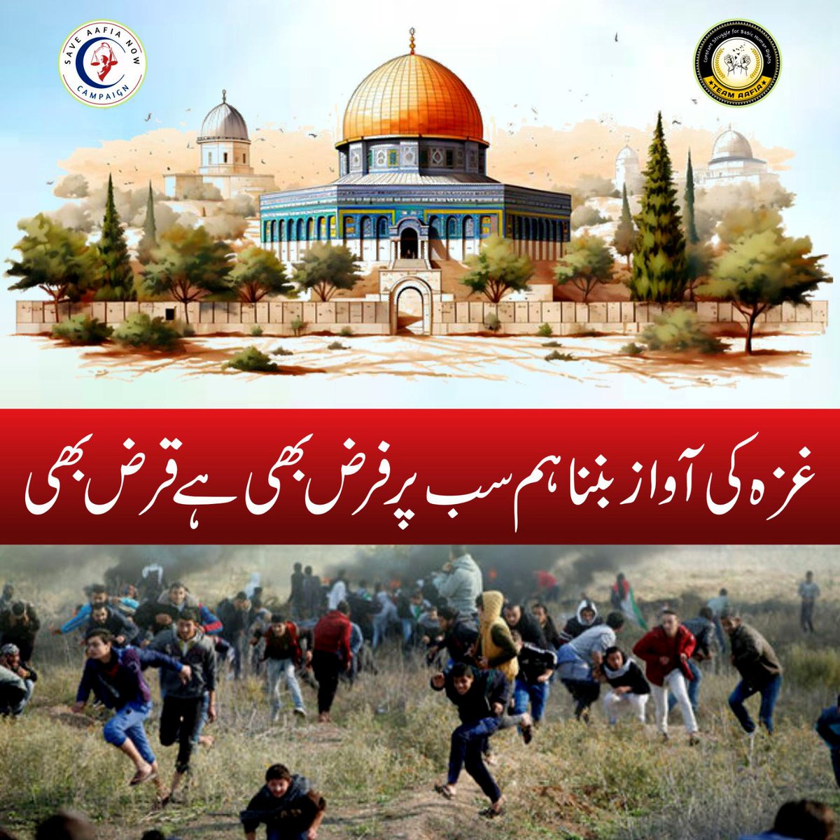 PapakaTiger327's tweet photo. اب یہ کریں کہ شروع سے پڑھیں۔ اور جو اس سے مناسب نہ ہوں اس پہ کٹ لگادیں۔
#ReleaseAllProtesters
Palestine 
Aid Hamas Not Israel
Gaza
Iraq
Release Students https://t.co/QHlWXIANlT