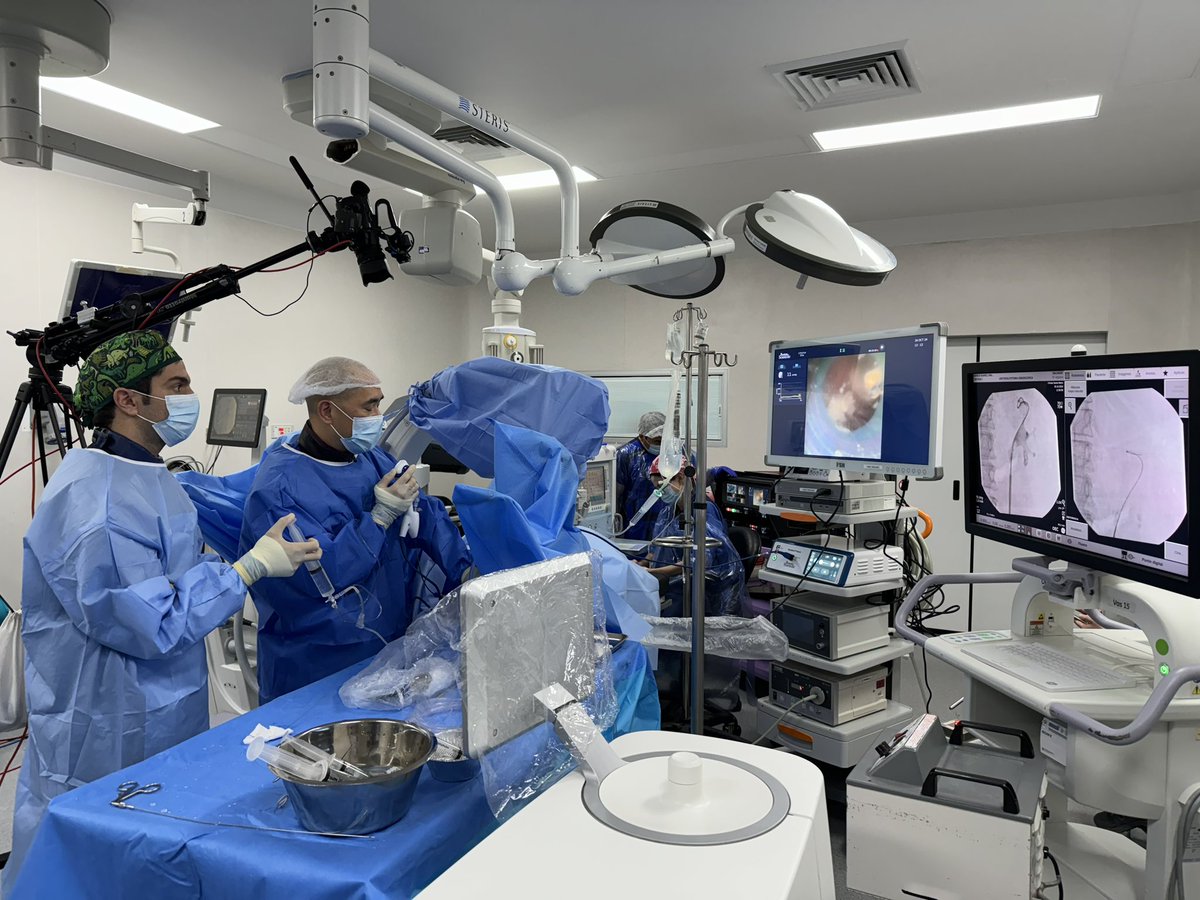 DRSALVADOSTONE's tweet photo. Excelente demostración sobre el uso de Lithovue Elite y FANs clearpreta por @thomaschi8 @EndoUSummit https://t.co/8byiBuul8x