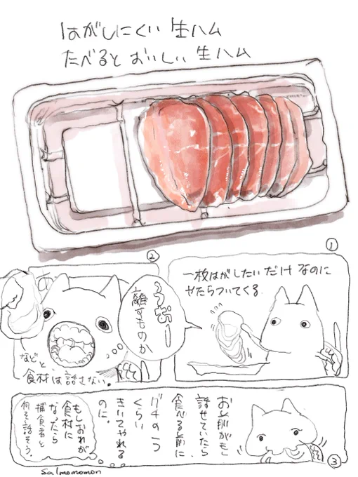 夢を見たくないので起きています 