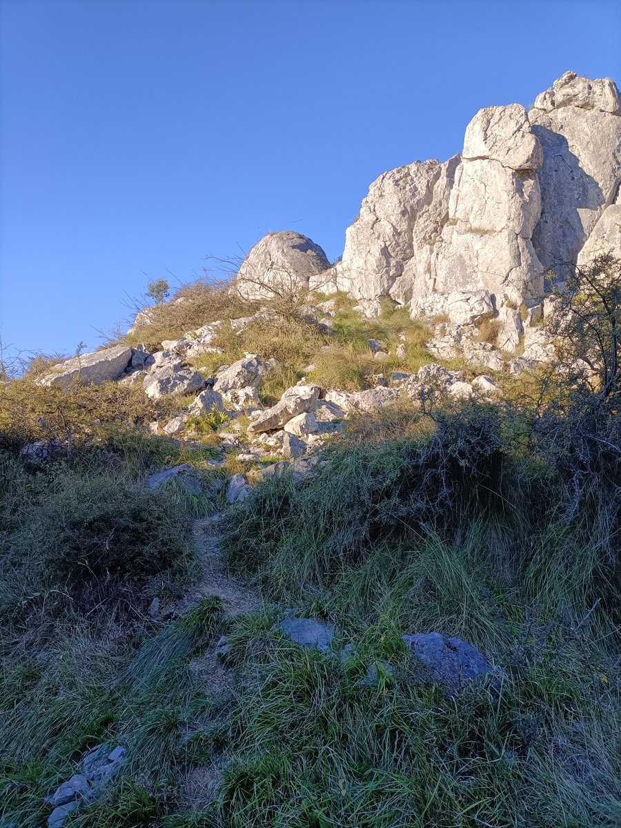 mendira_eus's tweet photo. 📢Igoera berria webgunean:
⛰️Urragiko Atxa (588 m)
🏘 Areatza-tik
📏5,4 km
🔼463 m
Argazki, mapa eta track: https://t.co/lxUlYrJK67
🐗🫎⛰️🌳🌲🏔️🍁
📢Nueva ruta en la web:
⛰️Urragiko Atxa (588 m)
🏘️Desde Areatza
📏5,4 km
🔼463 m
Más fotos, mapa y track: https://t.co/lxUlYrJK67 https://t.co/6Bz0J2mqtT