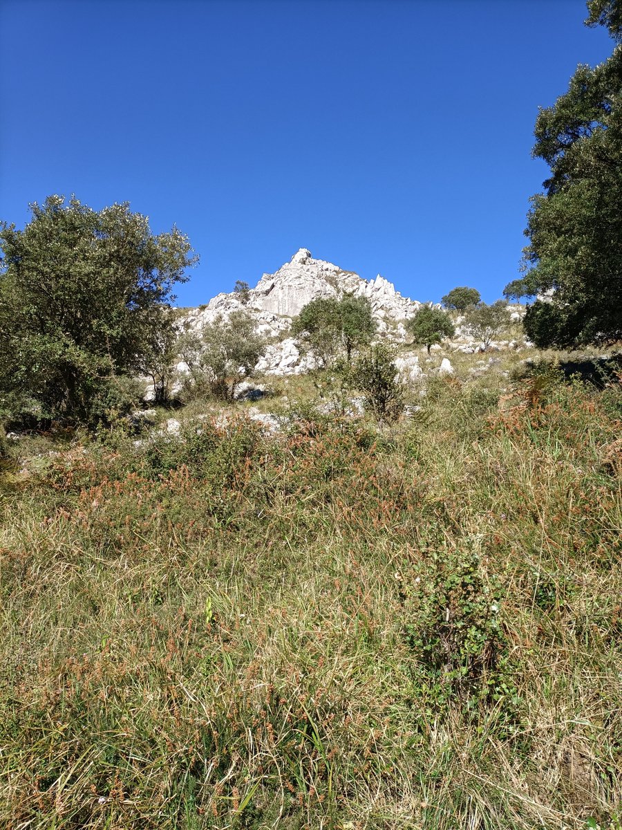 mendira_eus's tweet photo. 📢Igoera berria webgunean:
⛰️Urragiko Atxa (588 m)
🏘 Areatza-tik
📏5,4 km
🔼463 m
Argazki, mapa eta track: https://t.co/lxUlYrJK67
🐗🫎⛰️🌳🌲🏔️🍁
📢Nueva ruta en la web:
⛰️Urragiko Atxa (588 m)
🏘️Desde Areatza
📏5,4 km
🔼463 m
Más fotos, mapa y track: https://t.co/lxUlYrJK67 https://t.co/6Bz0J2mqtT