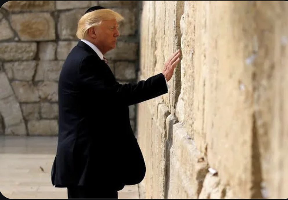 Nada más irracional que un dominicano votando por Kamala, y al mismo tiempo querer expulsar a los haitianos de RD. Los DemócRatas PRESIONAN a los países para crear fronteras abiertas.

<a href="/realDonaldTrump/">Donald J. Trump</a> habla de protección a la soberanía de USA. Nosotros sobre la soberanía de RD.