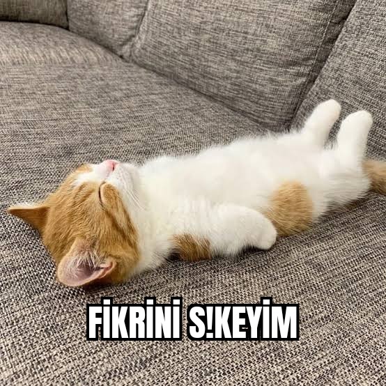 Huysuz Virjin konuşmuş.