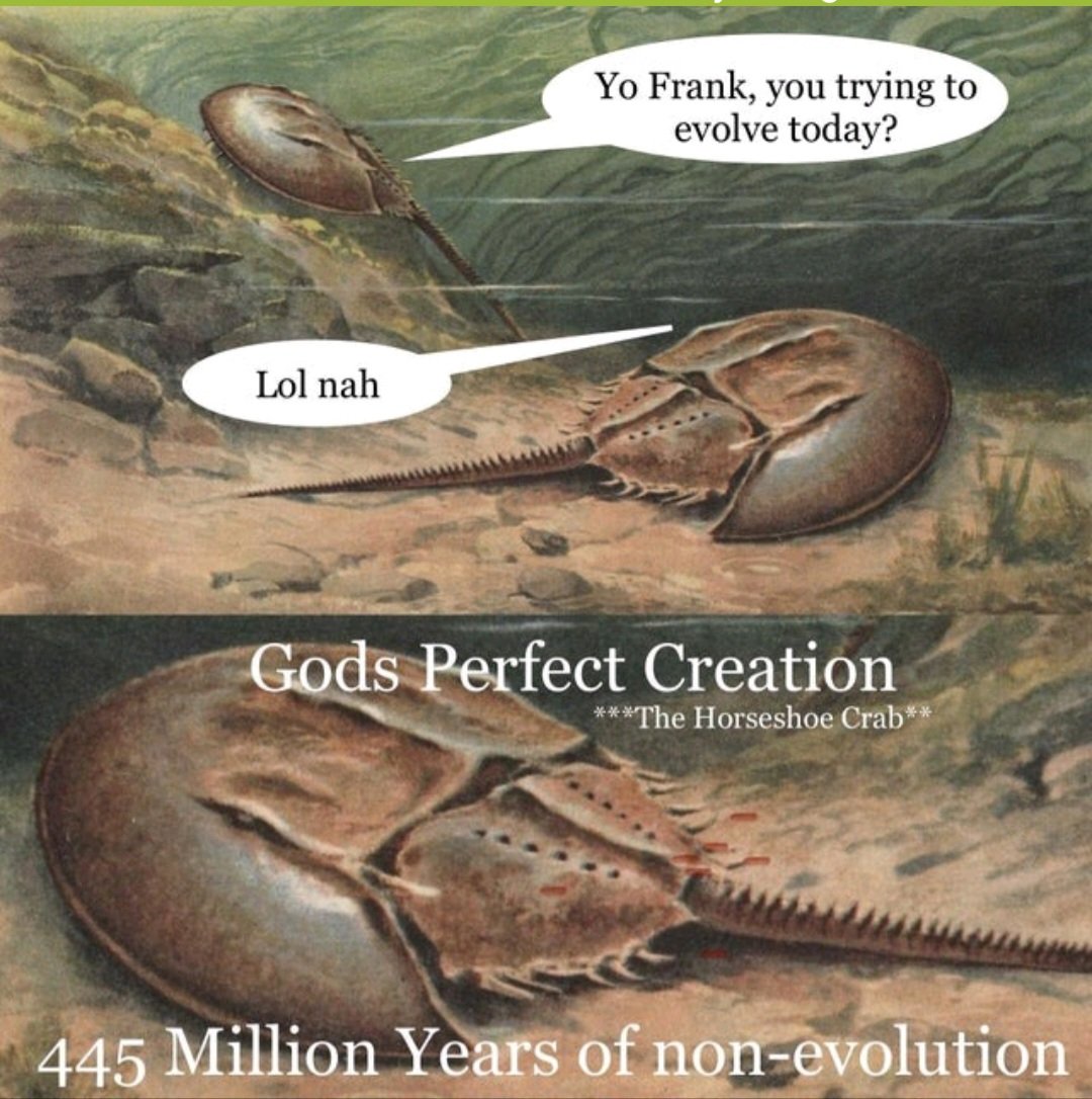 TrevorL415's tweet photo. Horseshoe crabs will never evolve.
#NotEvolution #EvolutionIsFake https://t.co/30Y7bFxD2k