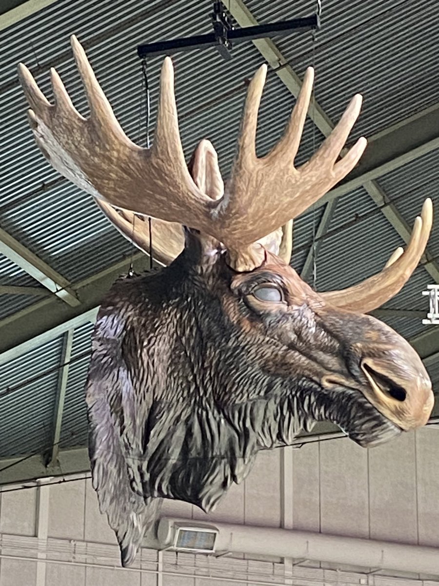 ……………………………………………..😑