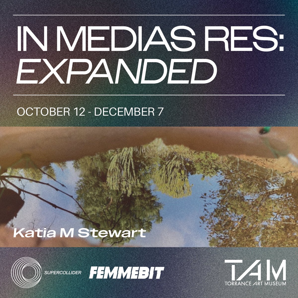 FEMMEBIT tweet media