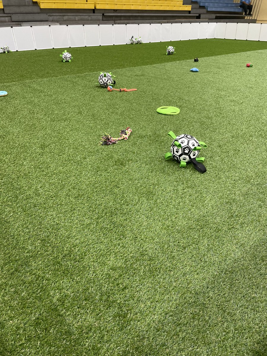 Bahamas Local tweet media