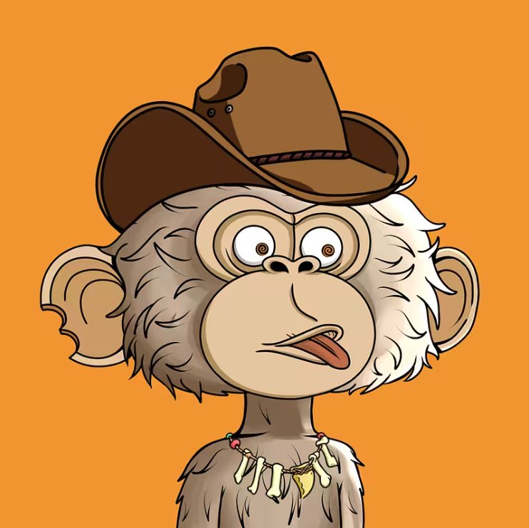 monkeymike_'s tweet photo. @RRcents @JimmyOnApe Lets go!!!
#ShowMeYourJimmy
$APE https://t.co/7x40H3FGO3