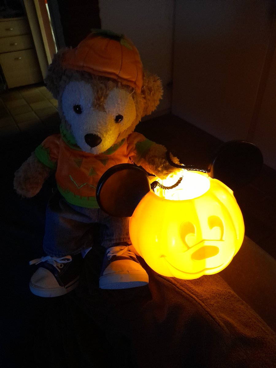 #Toddy's friend Dutchie- Duffy 🐻 tweet media