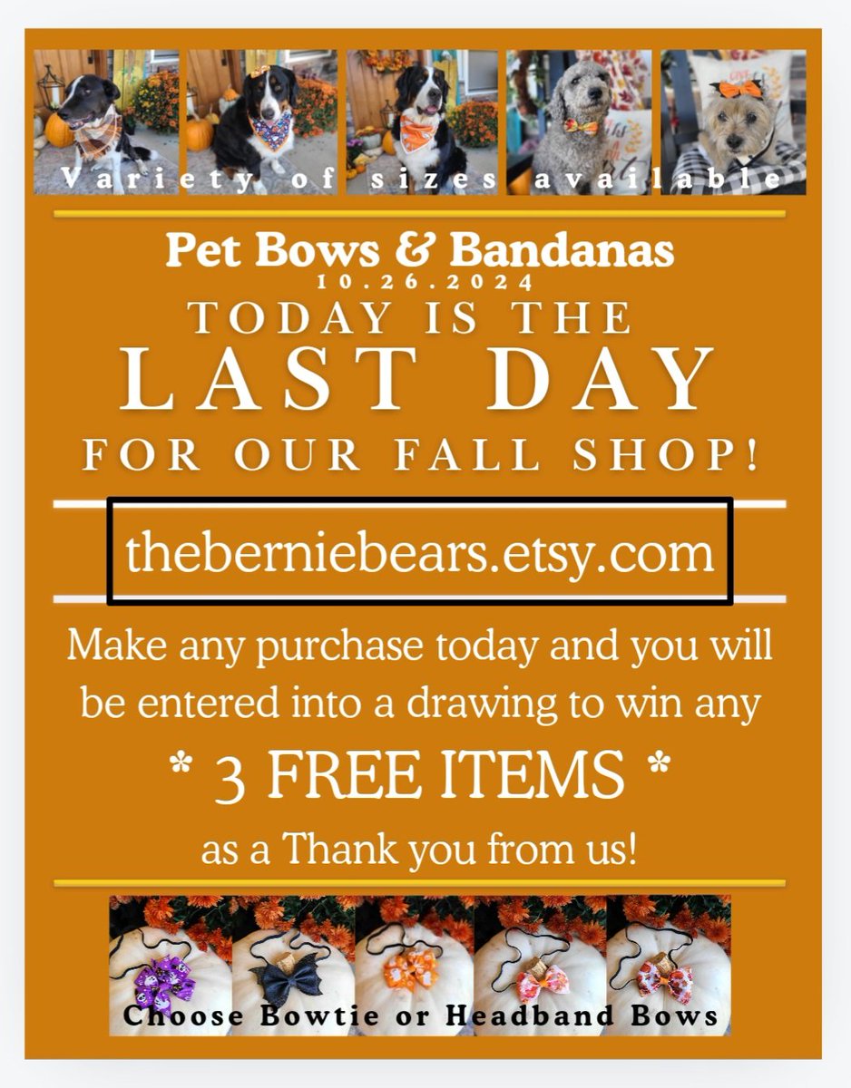 theberniebears's tweet image. Let us in for breakfast! Lilah is demure this morning while Norah is demanding🤣  FALL POP🦃UP SHOP  GIVEAWAY!

Share your hugs! The world needs them! 🌎🫂💖

#theberniebears #fallshopping #popupstore #Halloween    #Thanksgiving #bernesemountaindog #berner #joyofdogs