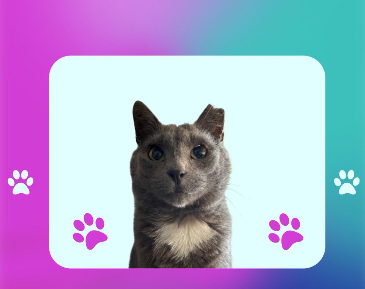 Good morning everyone...

Hope we enjoyin' the weekend?..
New Records set for DMTC Project Next week: Hints...

So be prepared