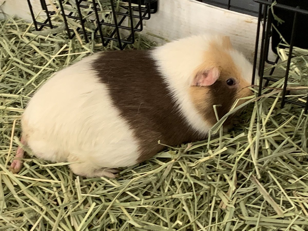 I think Spot has the right idea. Time to relax. Have a great weekend everyone. #SaturdayMood