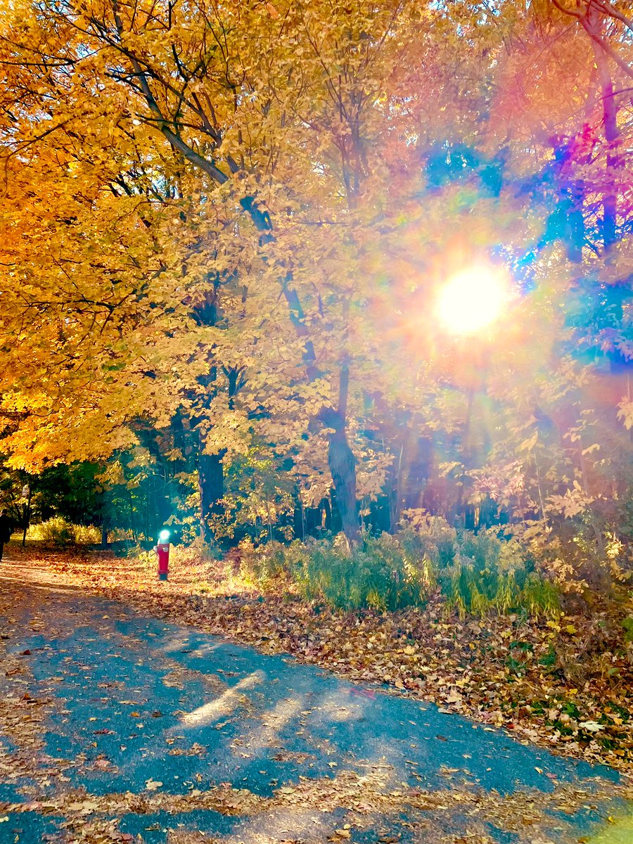Good Autumn Morning! Make sure to take a stroll out in nature today! #selfcare #MentalHealthMatters #MentalWellness #MentalHealthSupport