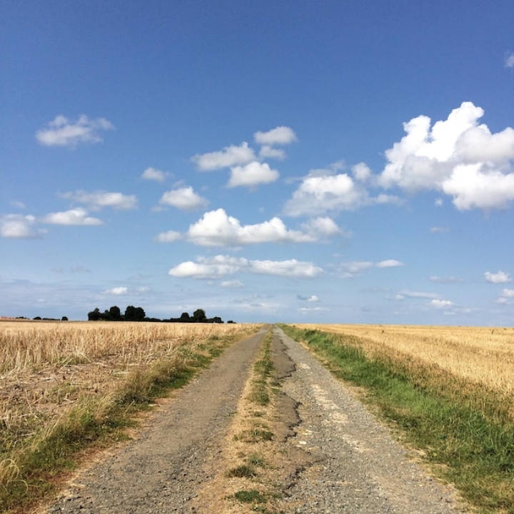 GleaningsWord's tweet photo. #NatureBeauty #naturephoto #CountryRoad
#PassingThrough #Life #trending #devotional #BigSky #Gleanings #BibleStudy #Peace #hope #Joy #Christian  https://t.co/qnL3VYEfJh https://t.co/1Mc5MNz2Ej