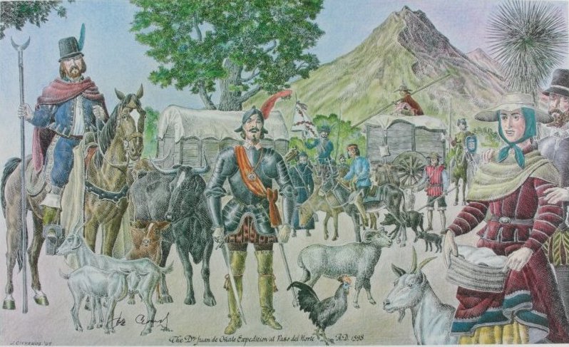 Media image