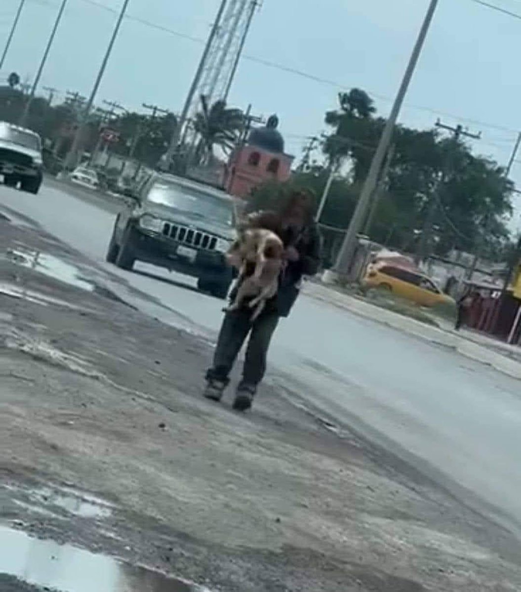 DiloConPerritos's tweet image. Una persona en situación de calle, fue captada llorandole a su perrito atropellado en la carretera a Cd. Victoria; el conductor que la atropelló, al ver que la persona era de bajos recursos, decidió irse… 

Mientras que esta persona, estuvo 20 minutos en el piso acariciando a su…