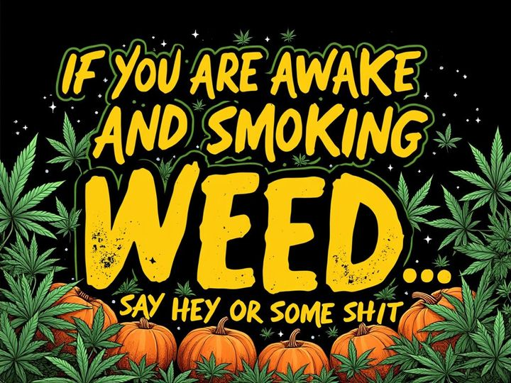 weedlings73's tweet photo. some shii https://t.co/NIgRQFthUs