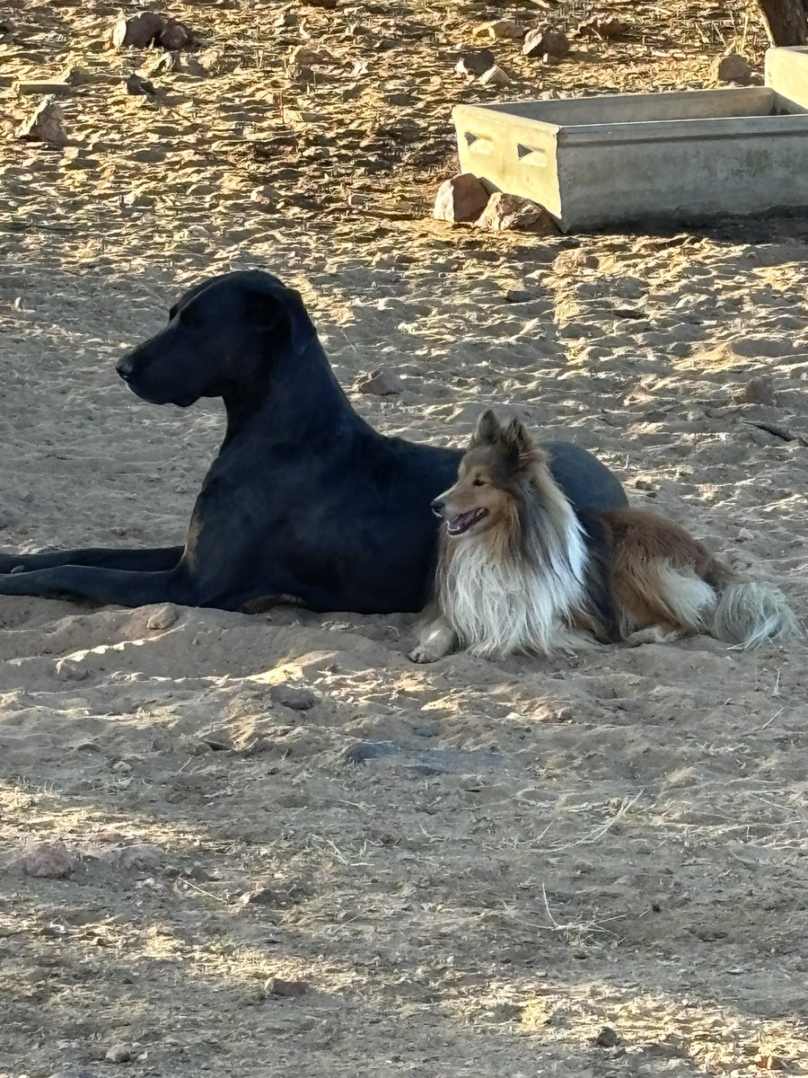 FabLabBU's tweet image. Namibia just keeps giving…sunshine/heat, great colleagues, amazing vistas, and animals…❤️