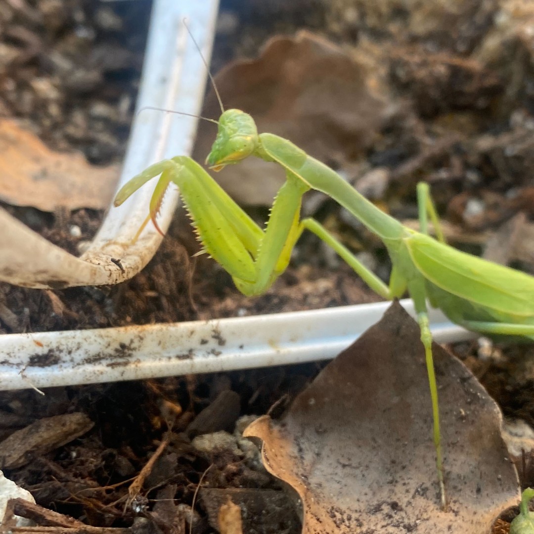 Ground Education tweet media