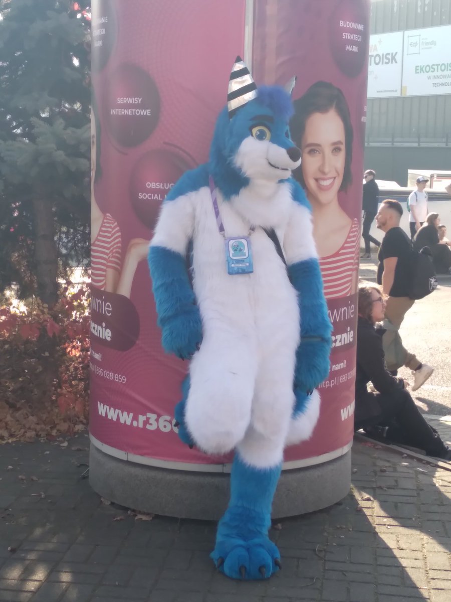 Mich_Arct_Fox's tweet photo. Dear #furrycommunity! Turns out there was not so much #furry accents at  #PoznanGameArena2024. If anyone spotted me there tho, and make a pic with me, please do share them here! I'm collecting pictures I was not able to make myself! Also see ya next year! ^^ https://t.co/7gVXleuxpA