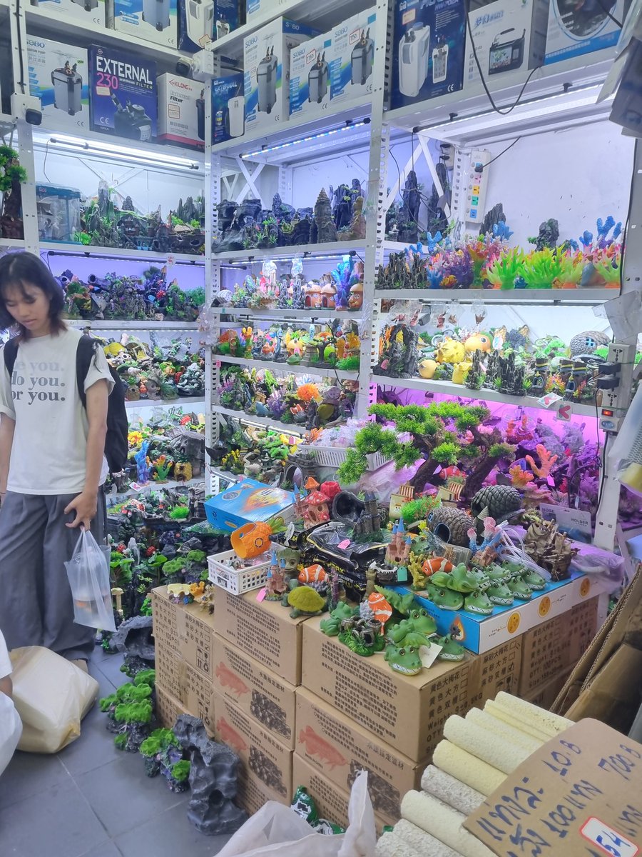 shinthaifish's tweet photo. 本日のチャトゥチャック魚エリア
#chatuchak #redbuilding #bangkok #バンコク #aquarium #market https://t.co/QpdaIeisYm