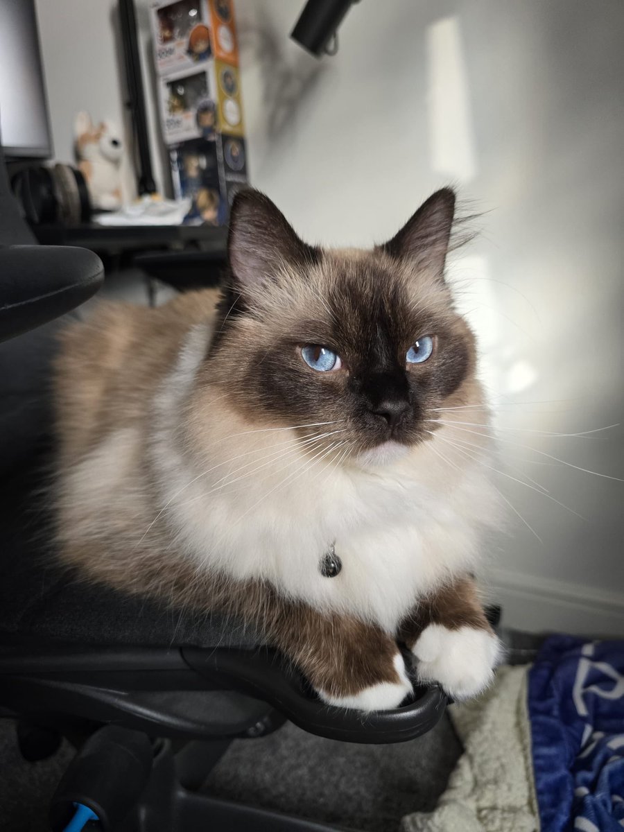 SuperKingAndy tweet media